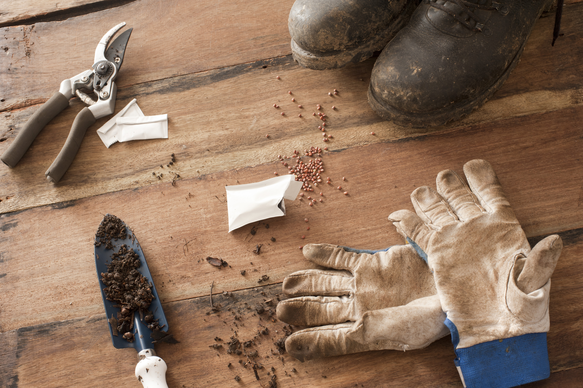 Gardening Hero background Wood floor with muddy black boots and garden sheers next to open seed packet and gloves by trowel with dirt